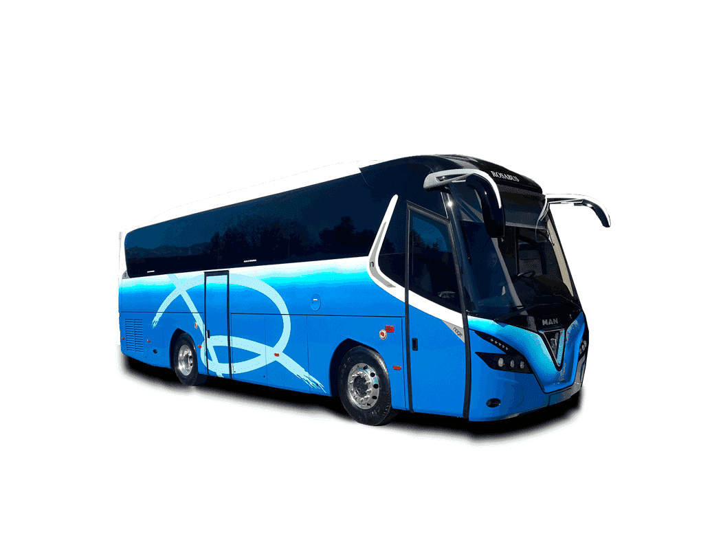 bus 39-PLAZAS-VIP-2