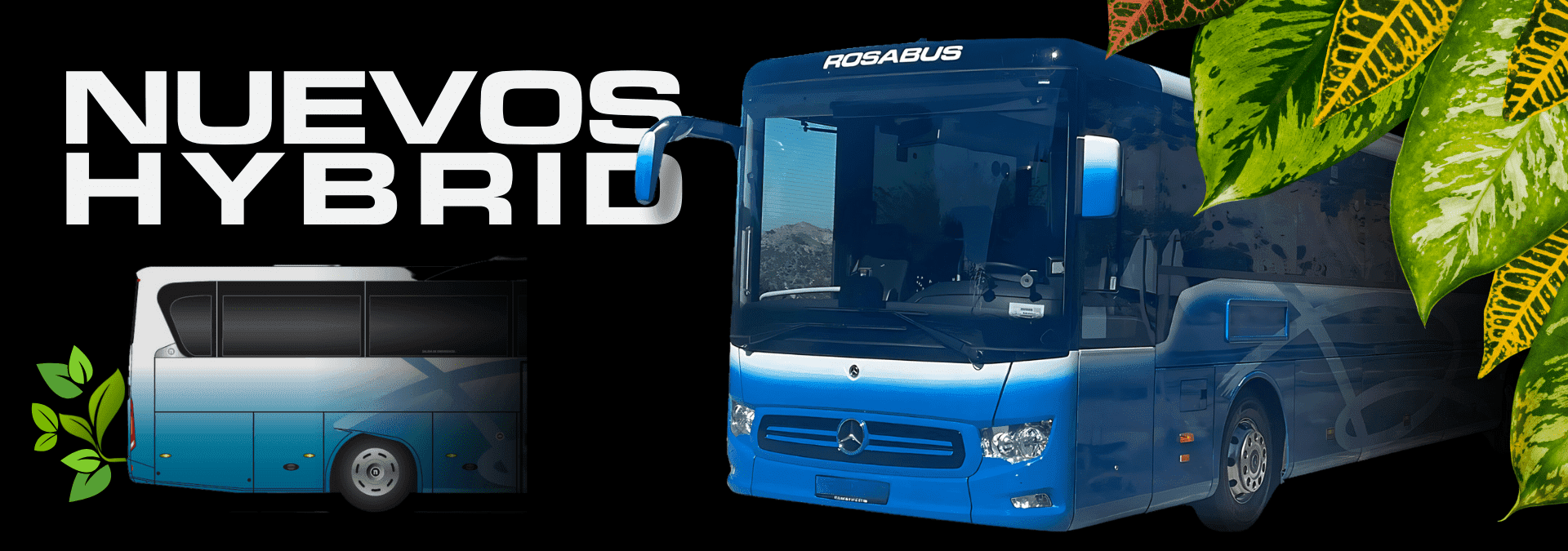autocares híbridos rosabus