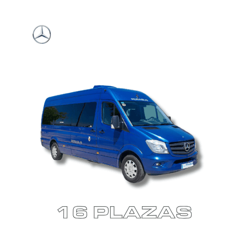 Microbus 16 plazas VIP