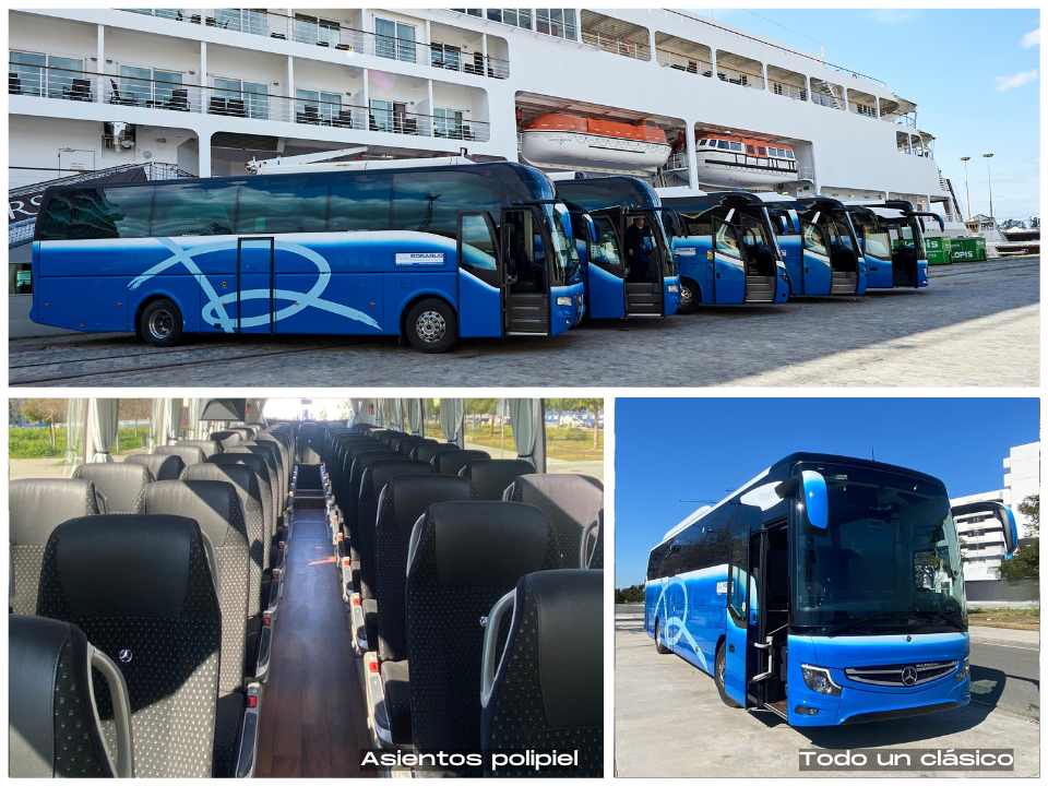 autobus alquiler 55 plazas rosabus